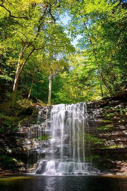 Ricketts Glen State Park Stock Photos Pictures And Royalty Free Images