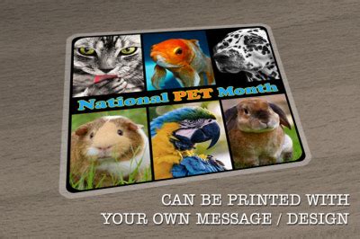 National Pet Month Floor Sticker / Graphics | Indoor Short Term 450mm x