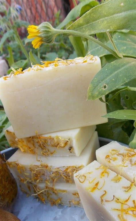 Making mild and natural soaps for over 30 years. Handmade Natural Calendula Peppermint Soap; Peppermint ...