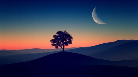 Solitude Tree Wallpaper 4k Crescent Moon Nature 6421