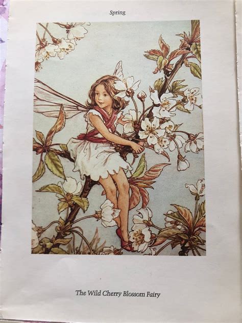 Vintage From 1981 Flower Fairies Of The Spring Paper Ephemera 5 Page