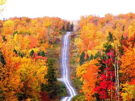 Golden Fall In Maine Autumn Pinterest Roads And Streets Golden