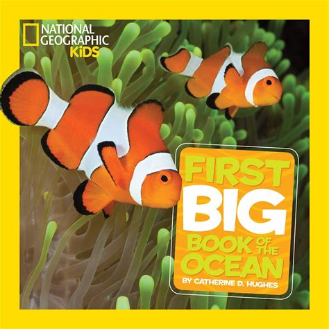 National Geographic Little Kids First Big Book Of The Ocean Shopdisney