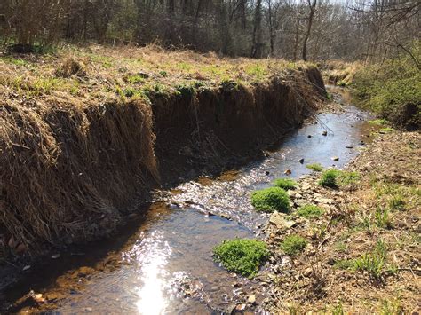 North Branch Bennett Creek Stream Restoration Complete Center For