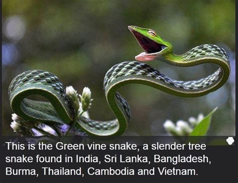 Interesting Science Facts And Photos 54 Pics