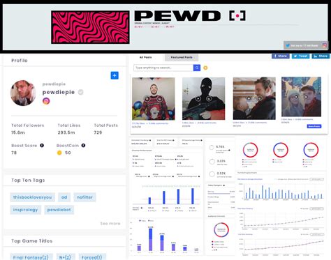 Sample Social Media Influencer Channel Profile And Stats