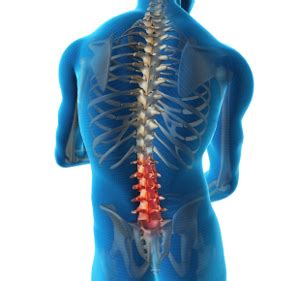 3d video tutorials and interactive modules on the anatomy of the vertebral column and individual vertebrae, including morphology at different levels. Lumbar Spine Anatomy Washington | Back Bone Pain Treatment Chevy Chase