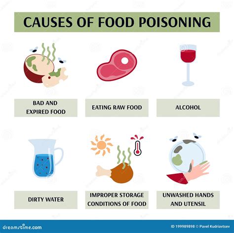 Vector Illustration Of The Causes Of Food Poisoning Stock Vector