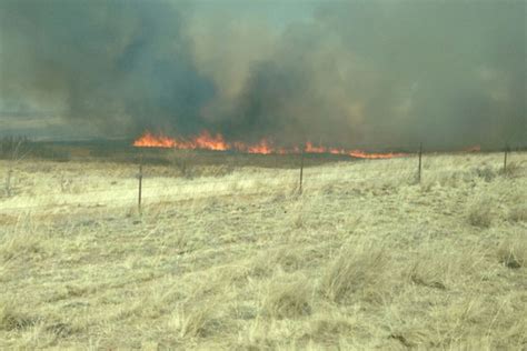 Wildfires Scorch North West Texas Farms Ranches Texas Farm Bureau