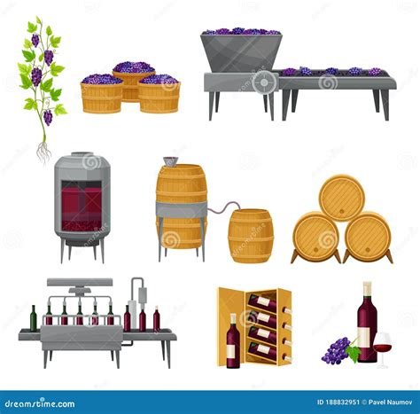 Grape Wine Production With Alcoholic Fermentation And Pouring In