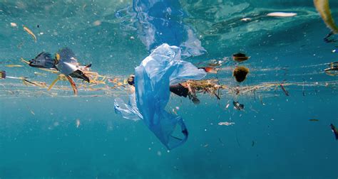 Plastikmüll Macht Ozeane Saurer Photochemische Degradation Von