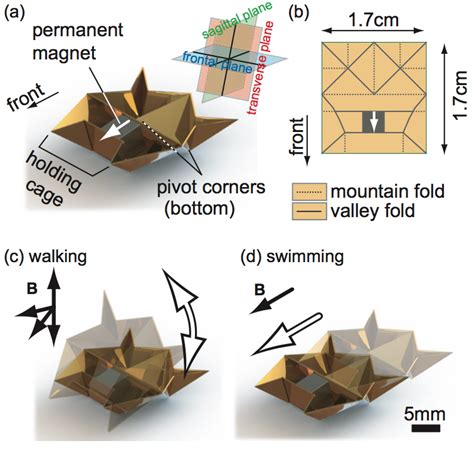 Origami Robot Folds Itself Up Does Cool Stuff Dissolves Into Nothing