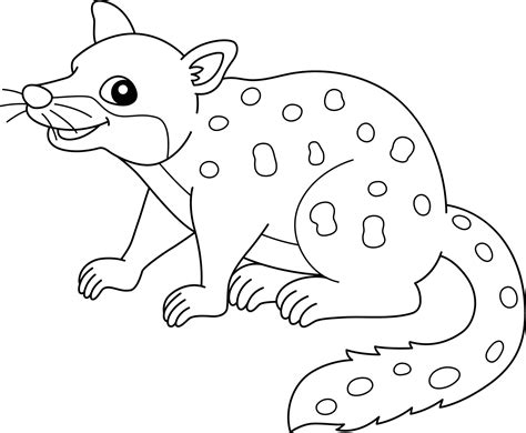 Tiger Quoll Coloring Page Isolated For Kids 7066817 Vector Art At Vecteezy