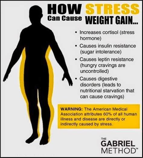 The sanctioning body has similar ways of making. Clean Eating Meets Country Girl: Can Stress cause weight ...