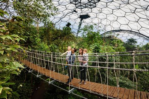 The Eden Project Cornwall Plants Roots In Australia Green Magazine