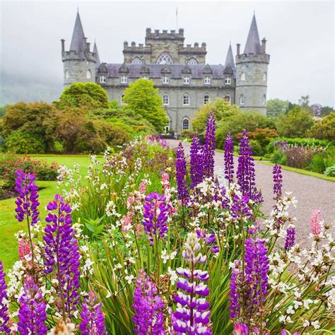 6 Amazing Scottishgardens To Explore See Some Of The Best Scottish