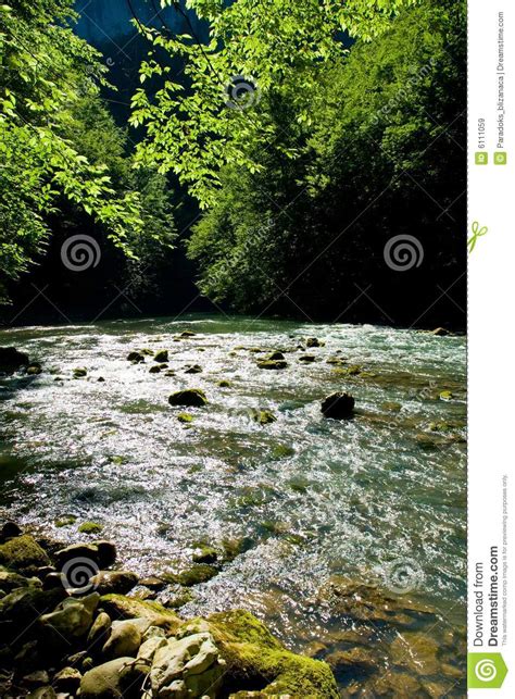 Forest River Source Scene Croatia Stock Image Image Of Summer
