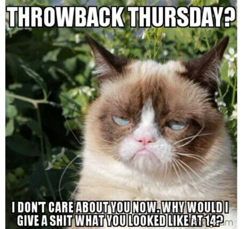 Grumpy Cat Hates Throwback Thursdays Humor Pinterest Cats Posts
