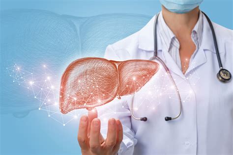 Fascinating Facts About Our Liver Health Beat