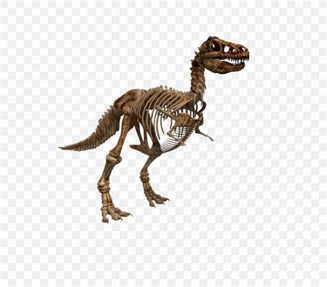 It's also the trackways left by dinosaurs as they sploshed through. Dinosour Bones 2D : Premium Vector Empty Paleontology Museum Hall Flat Color Dinosaur Fossils ...