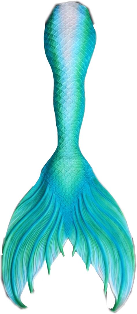 Mermaid Scales Png Png Image Collection