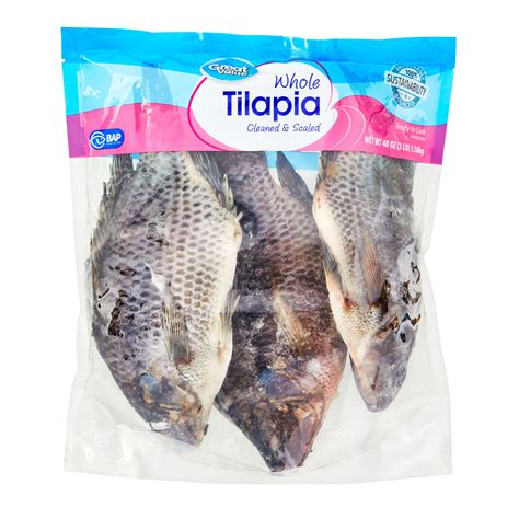 Whole Tilapia Ubicaciondepersonascdmxgobmx