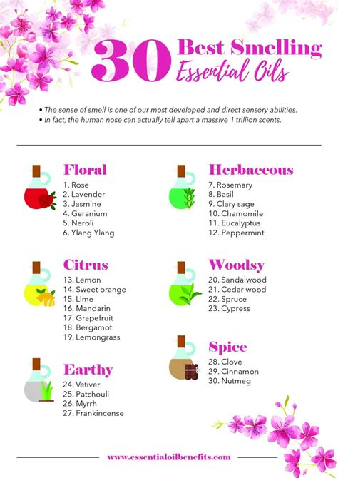 The Ultimate List Of 30 Best Smelling Essential Oils Essential Oil