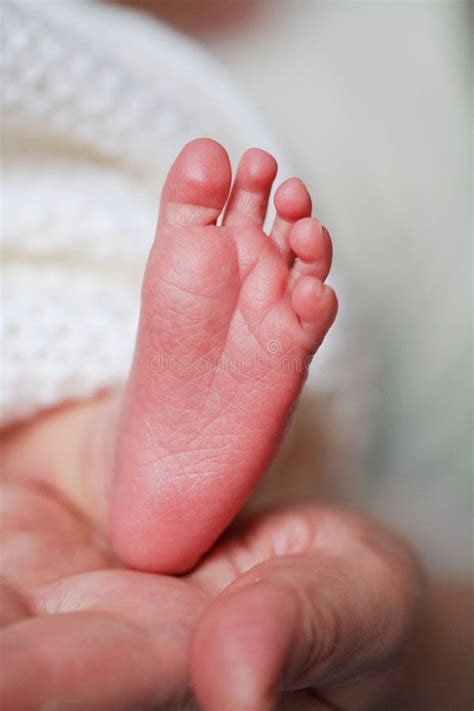Adorable Newborn Baby Feet Stock Photo Image Of Vulnerable 13848486