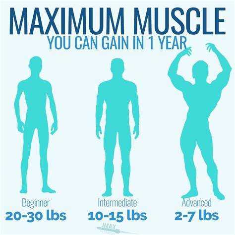 Your Maximum Muscular Potential As A Natural Lifter Your Body Can