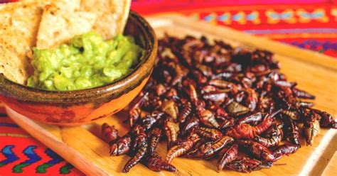 Deleita Tu Paladar Con Los Insectos Más Ricos De La Gastronomía Mexicana