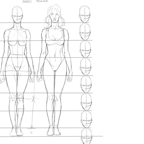 Face Proportions Drawing Drawing Body Proportions Drawing Female Body