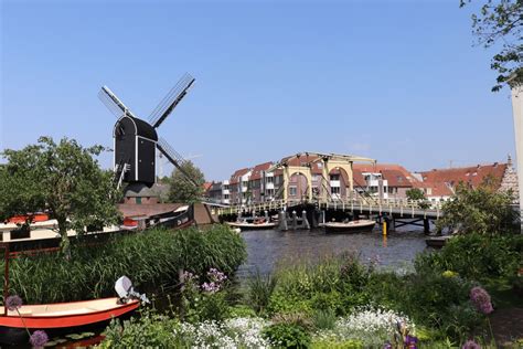Living in Leiden: 5 things to do when you move to Leiden - DutchReview