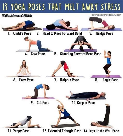 Yoga Stretches For Melting Stress Yoga Yoga Yoga Poses Exercise