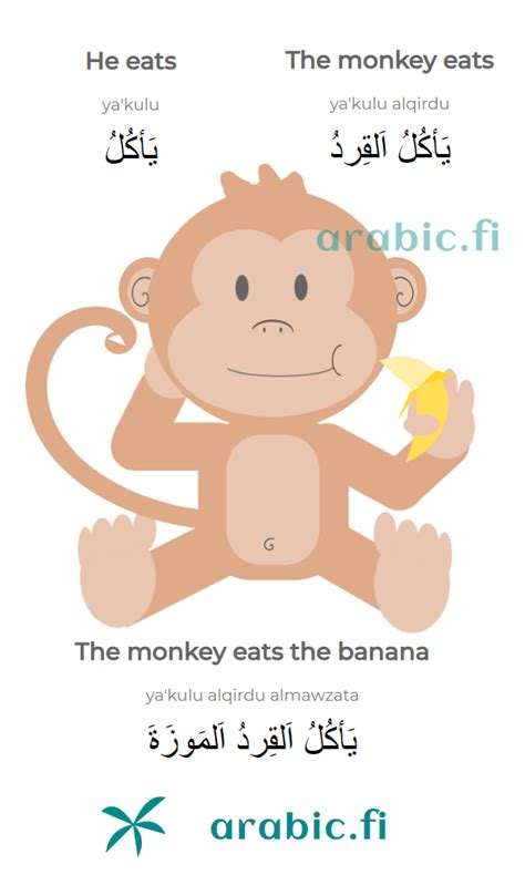 The Monkey Eats The Banana Learning Arabic Learn Arabic Language