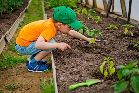 11 Best Plants For Kids To Grow Garden Lovers Club