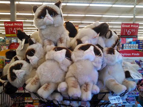 Completely Indie The Grumpy Cat Invasion