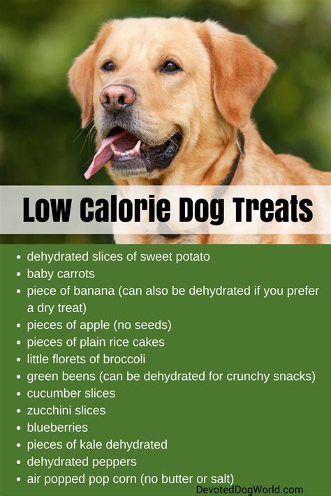 Homemade dog treats are easy to make. Best Diet Food for Dogs | Low calorie dog food, Overweight ...