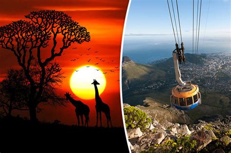 Best Things To Do In Cape Town Top 10 Adventures In The