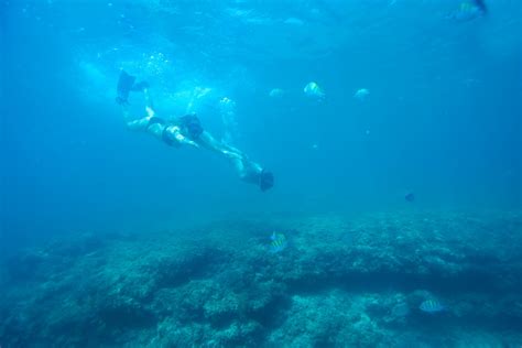 The Best Snorkeling Spots In Loreto Mexico Hotel Santa Fe Loreto