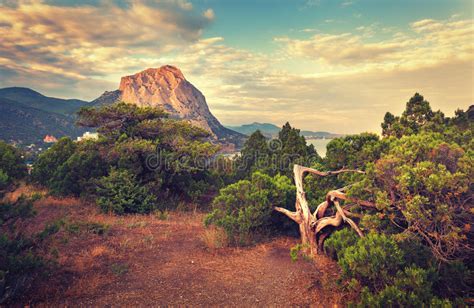 Beautiful Summer Sunset In Forest With Mountains Stock Photo Image Of