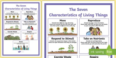 Characteristics Of Living Things Display Poster