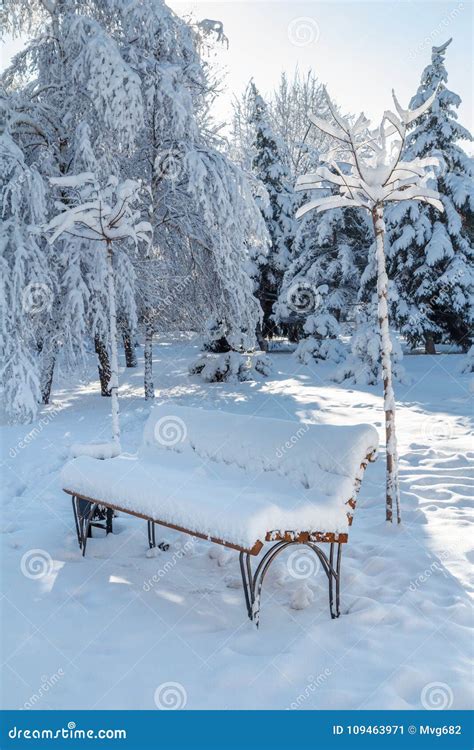 Bench And Trees Covered With Snow In The City Park In Winter Stock