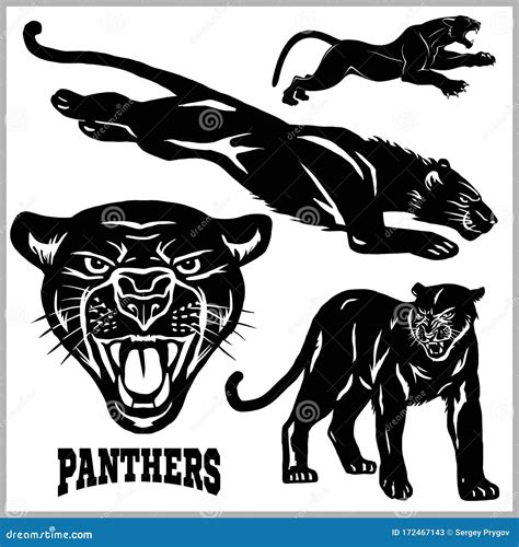 Panthers Vector Set Vector Illustration Isolated On White Stock