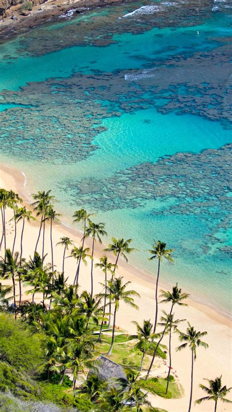 Download おうちでハワイ 美しい ハワイの海 の Images For Free