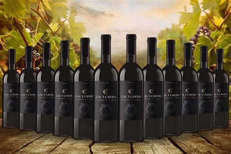 12 Bottles Of Award Winning Spanish Red Wine Spanish Red Wine Red