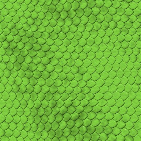 Free Download Snake Reptile Skin Texture 4000x4000 For Your Desktop