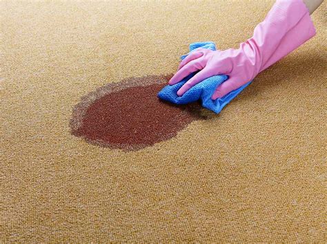 How To Clean Carpet Better Homes And Gardens