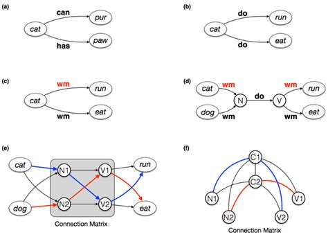 Illustration Of Relational Structures As Connection Paths Ovals