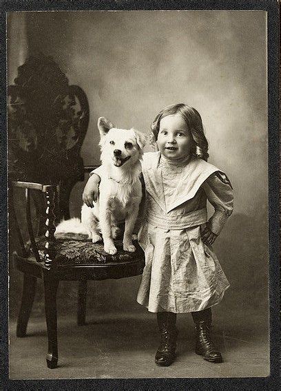 Lovely Vintage Pictures Of Dogs Smiling When Photographed With Their