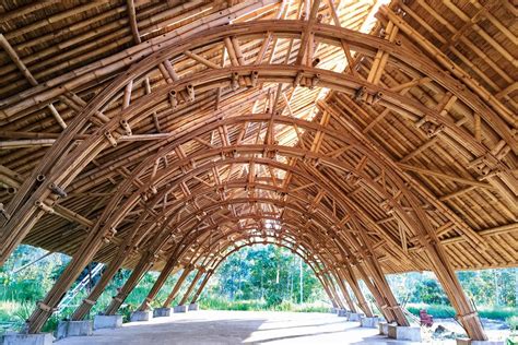 The Bamboo Frontier Architectureau